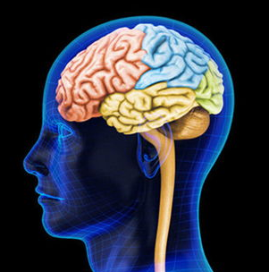 哪些人群易得脑萎缩