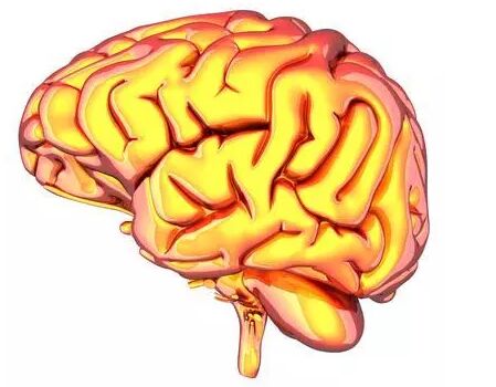 脑萎缩如何治疗呢