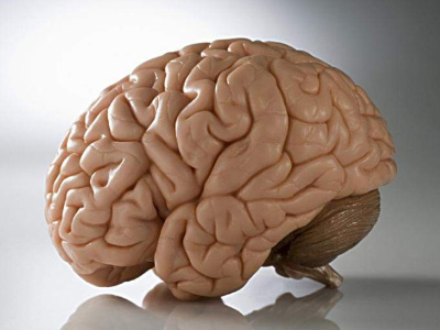 脑萎缩治疗的原则