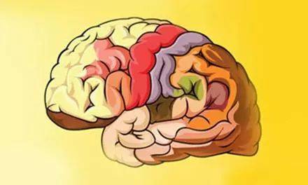 为什么会患上脑萎缩？