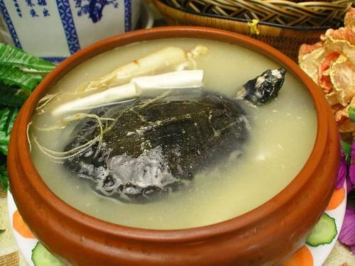 治疗脑萎缩的四种食疗