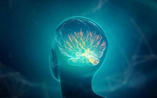 小脑萎缩早期的四种表现