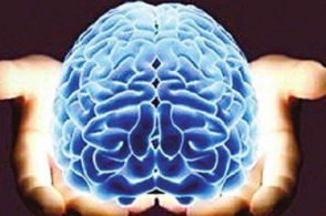 脑萎缩与帕金森病的不同之处